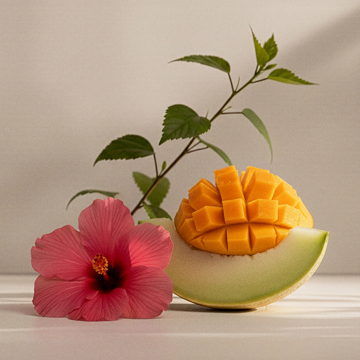 Sachet Perfumado Go, Go, Mango