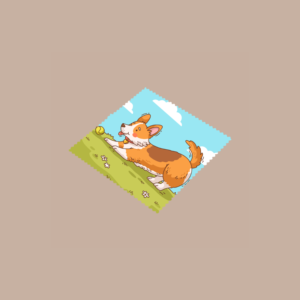 Microfibra Corgi