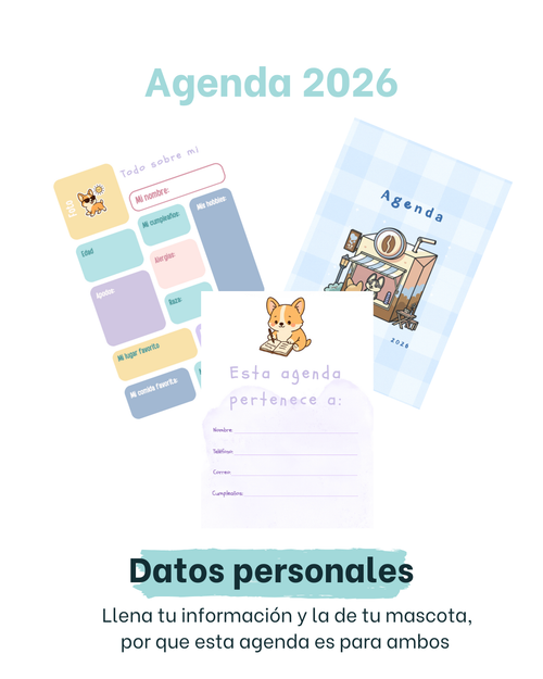 Agenda 2026