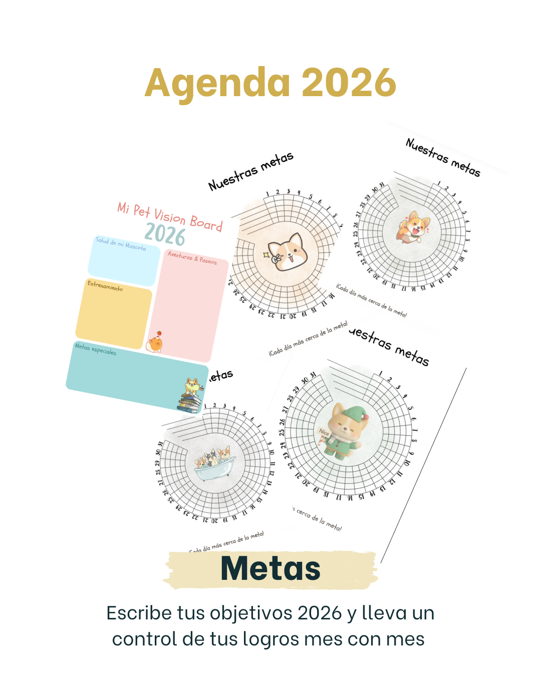 Agenda 2026