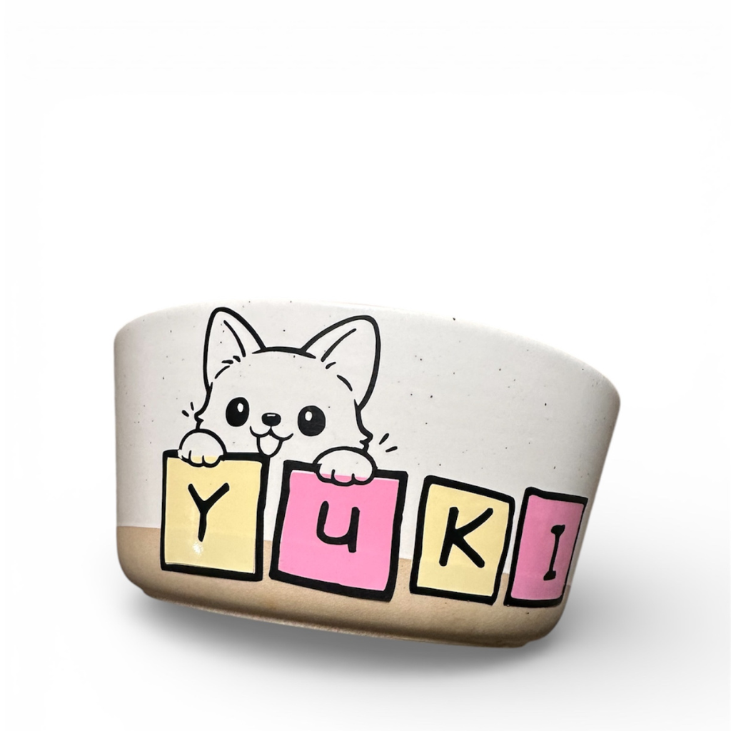 Bowl para Mascotas