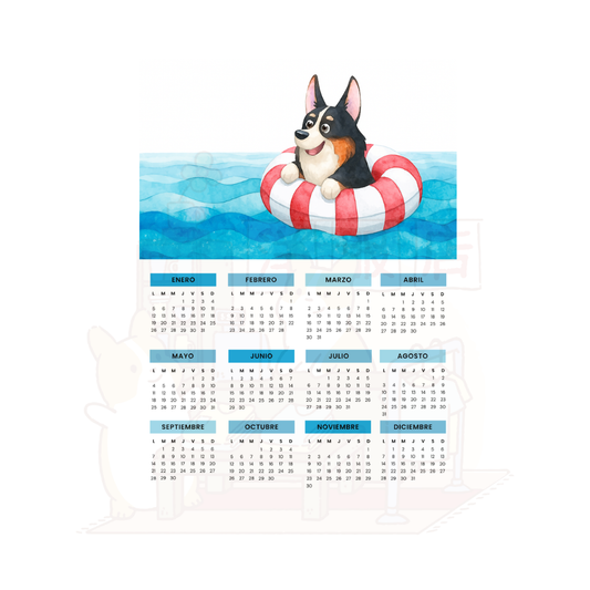 Calendario 2026 | Hora de nadar