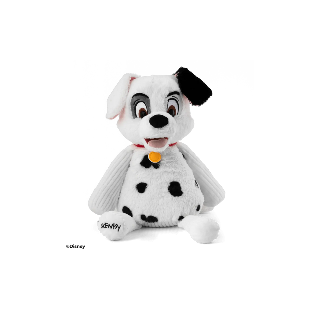Buddy Dalmata
