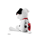 Buddy Dalmata