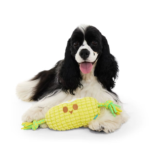 Elote